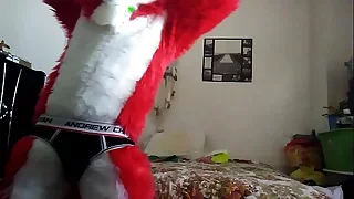 JAV Twink XXX 11